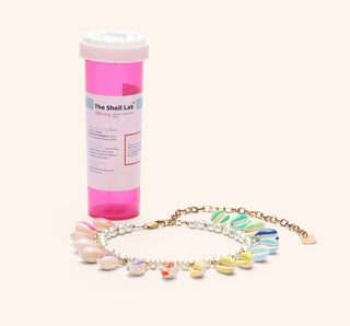 collier coquillages