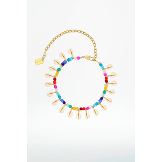 Collier coquillages Color is the Answer - The Shell Dealer